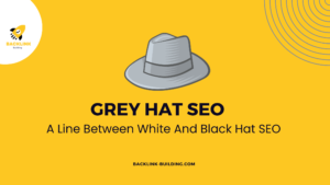 Grey Hat SEO A Line Between White And Black Hat SEO